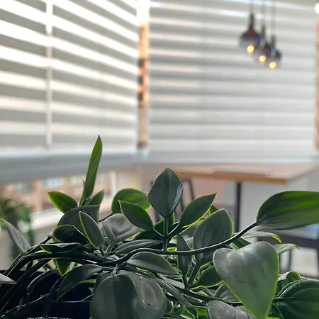 Appartement Modern And Bright By Marina *