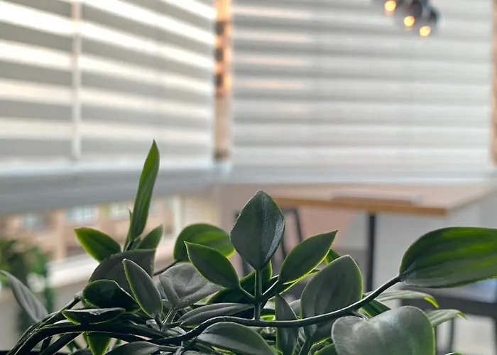 Apartment Modern And Bright By Marina *